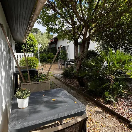 ホテル Cote Et 2*