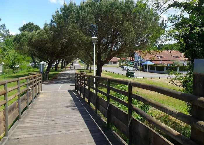 Cote Et بيسكاروس